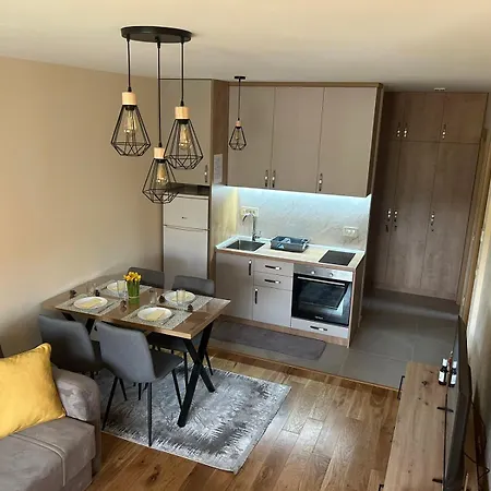 Apartment Zuti Cvet, *