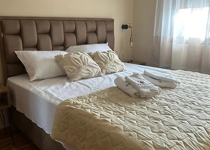 Zuti Cvet, Appartement